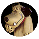 Muttley